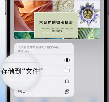 同安apple维修中心分享iPhone文件应用中存储和找到下载文件