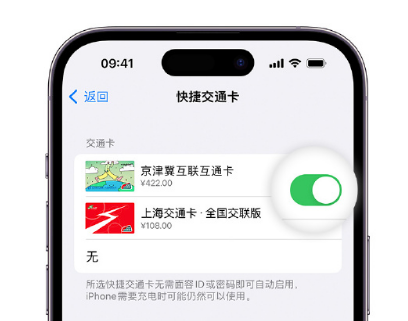 同安apple维修点分享iPhone上更换Apple Pay快捷交通卡手绘卡面 