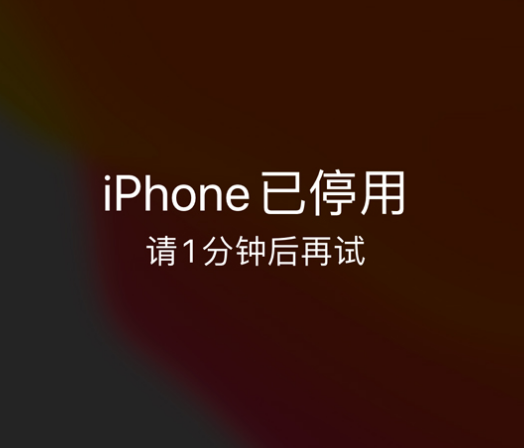 同安苹果手机维修分享:iPhone 显示“不可用”或“已停用”怎么办？还能保留数据吗？ 