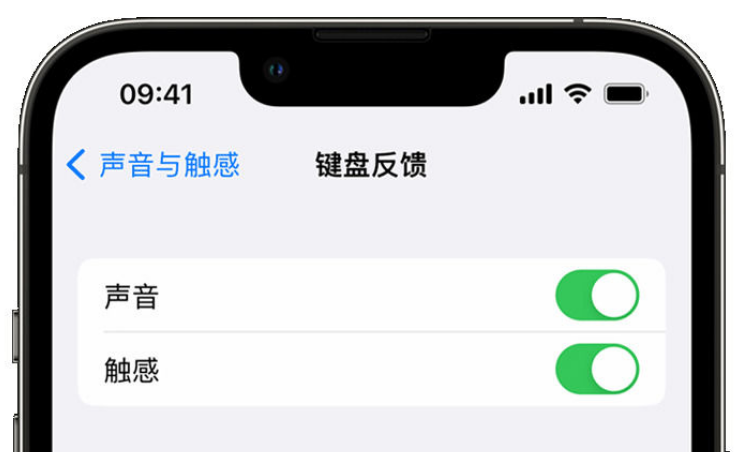 同安苹果手机维修分享iPhone 14触感键盘使用方法 