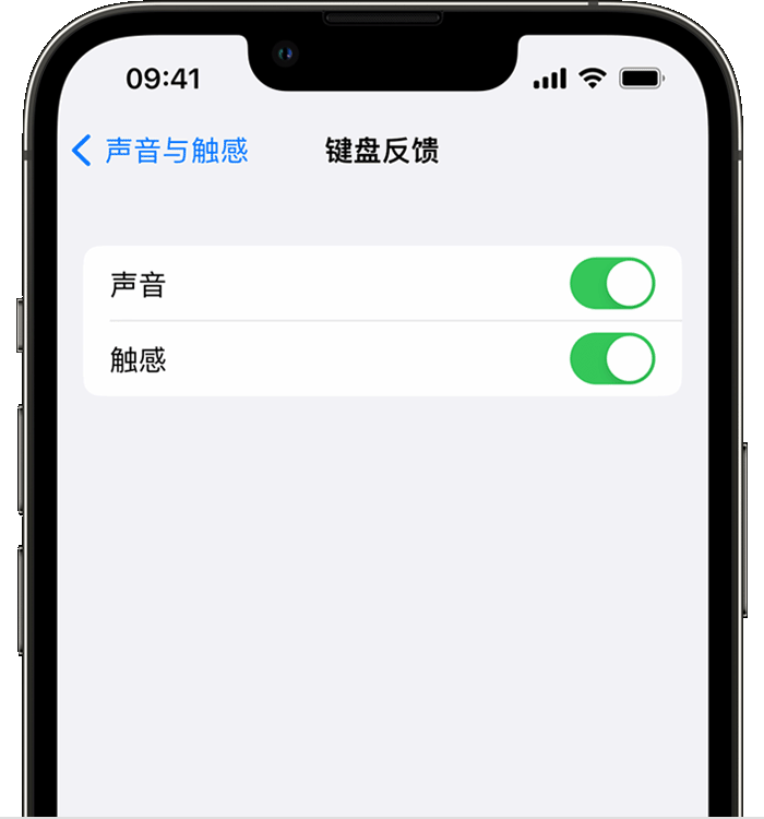 同安苹果14维修店分享如何在 iPhone 14 机型中使用触感键盘 