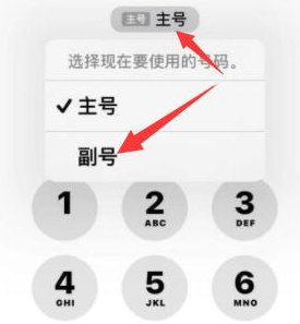 同安苹果14维修店分享iPhone 14 Pro Max使用副卡打电话的方法 