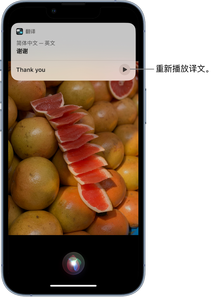 同安苹果14维修分享 iPhone 14 机型中使用 Siri：了解 Siri 能帮你做什么 