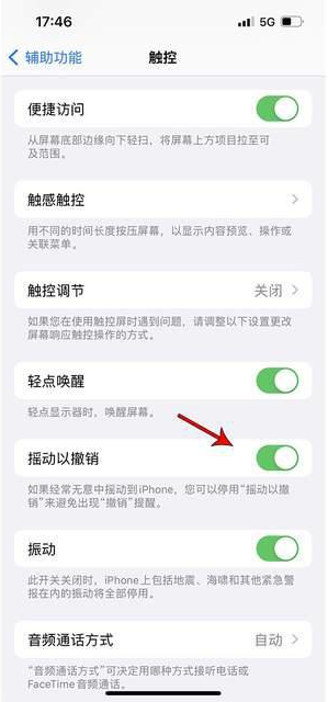 同安苹果手机维修分享iPhone手机如何设置摇一摇删除文字 